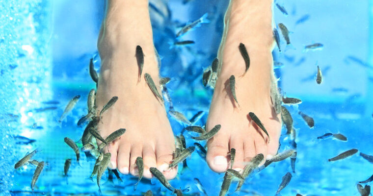 fish pedicure